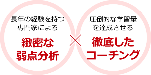 長年の経験を持つ専門家による緻密な弱点分析×圧倒的なの学習量を達成させる徹底したコーチング